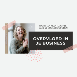 Overvloed in je business