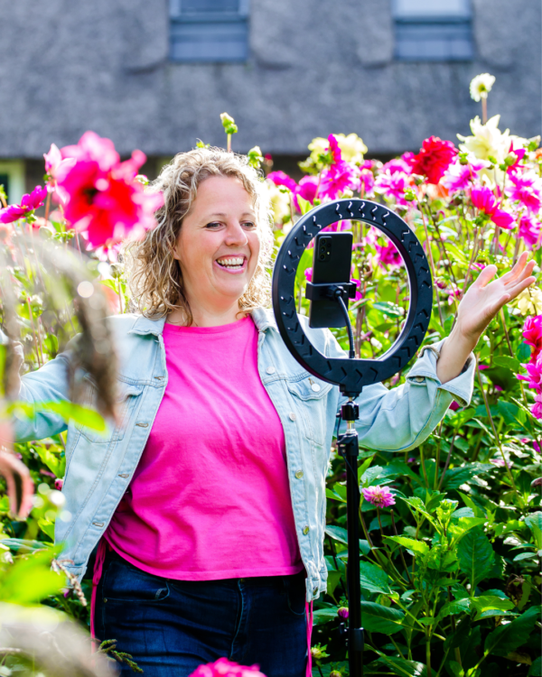 Shine online met Reels